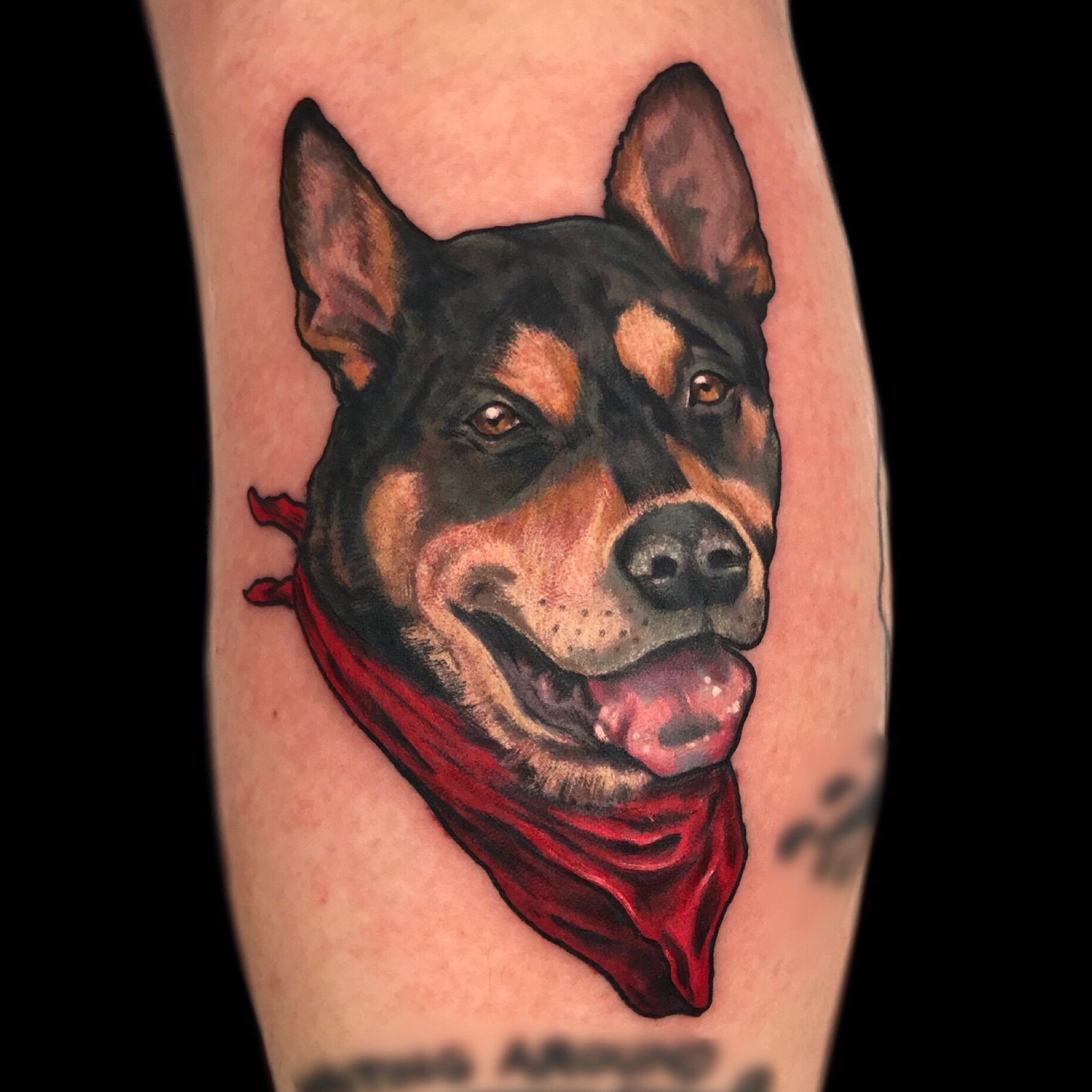 Black and gray dog portrait tattoo by Agnes Hamilton